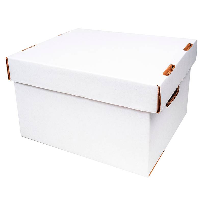 15 Cajas de Cartón para Archivo 50X31X25 RM-101 - EMPACK