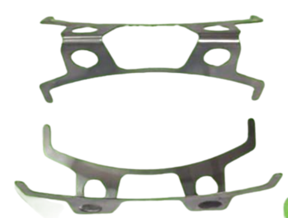 ev-Disc Patti - COMMON