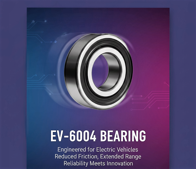 ev-6004 Bearing