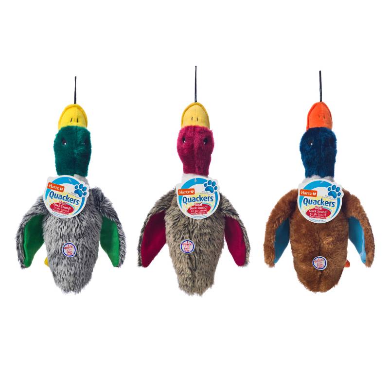 NC QUACKERS DOG TOY