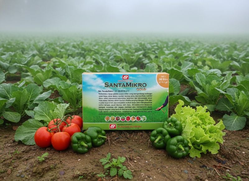 Santamikro