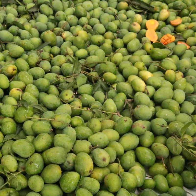 গোপালভোগ আম- ১ কেজি