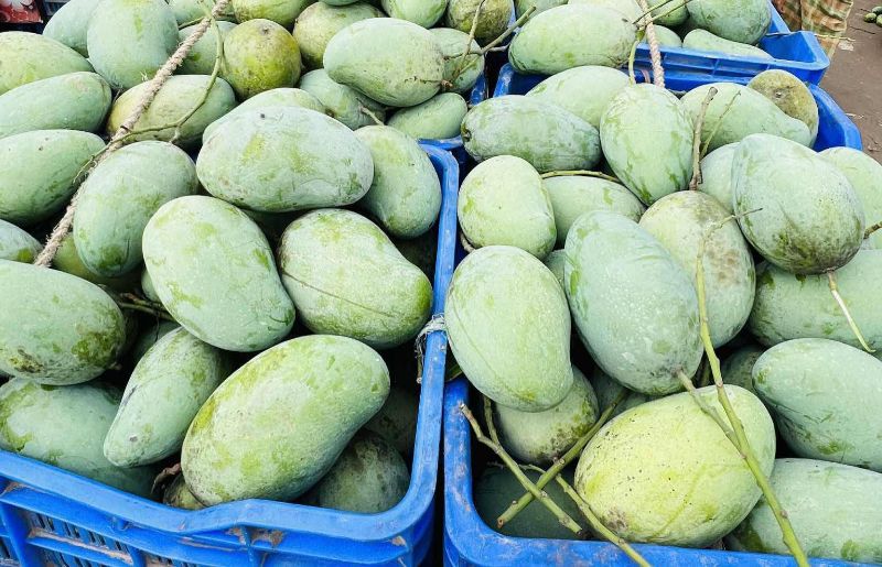 আম্রপলি আম- ১ কেজি