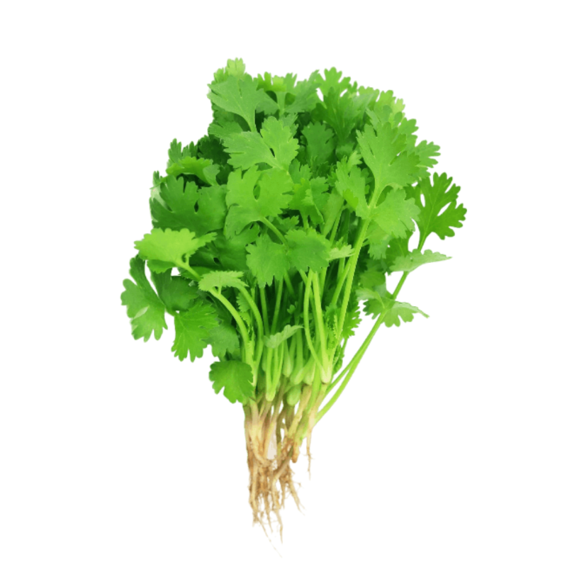 Coriander Leaves - 1 bunch (Fresh vegetables)
