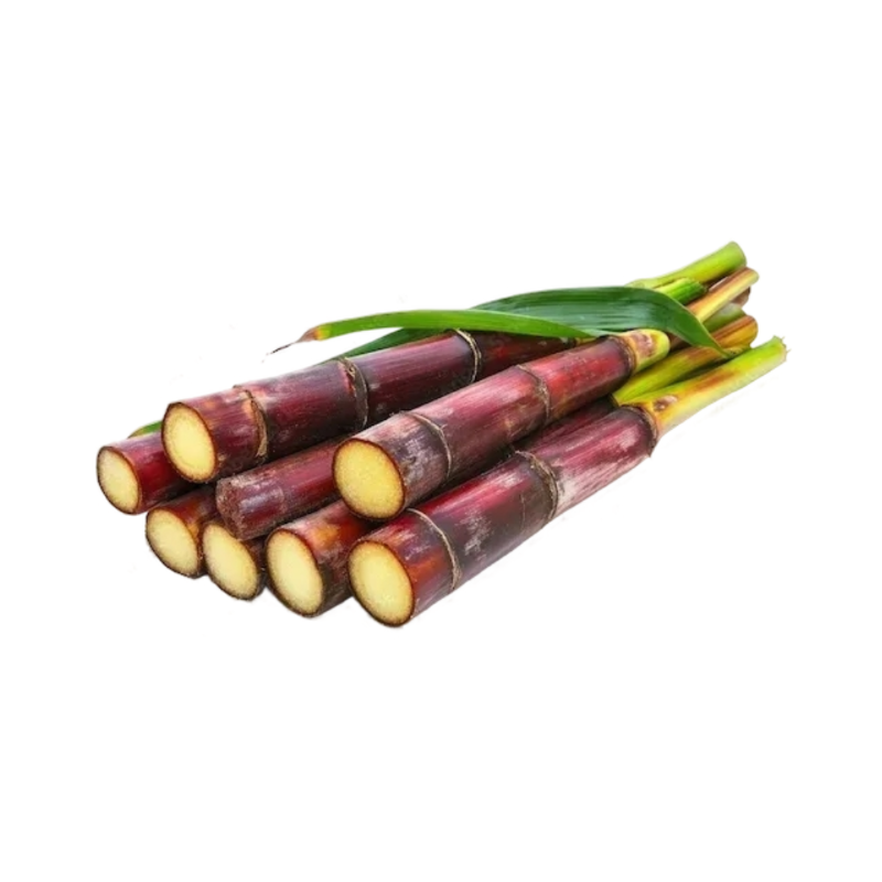 Sugar cane stick