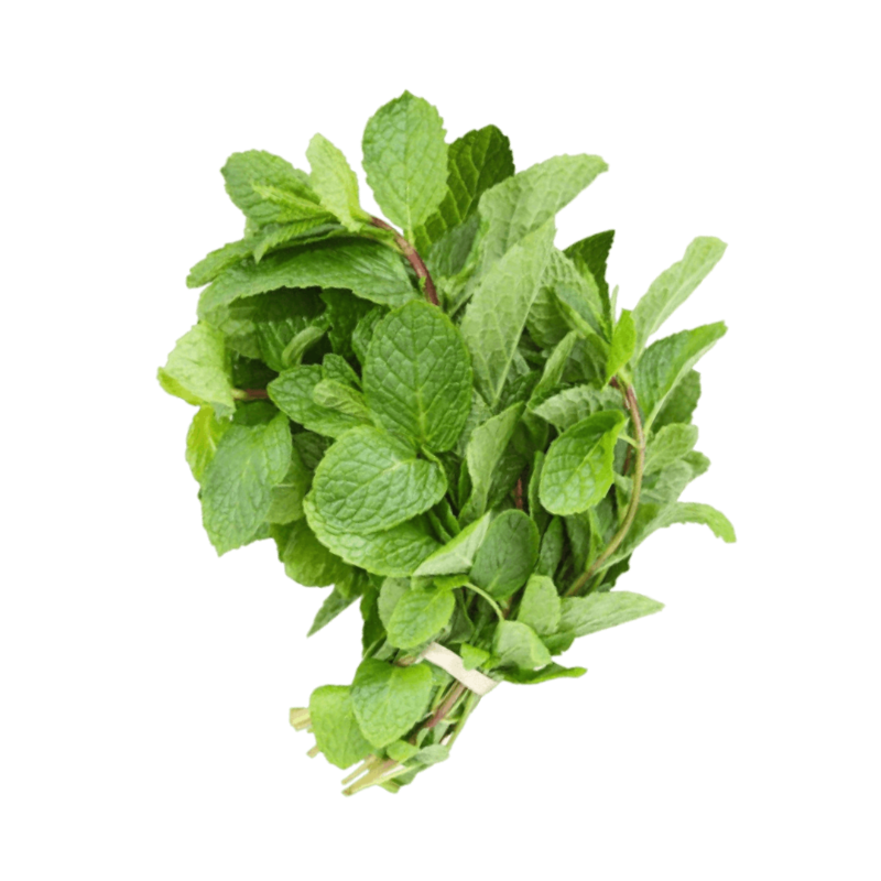 Mint Leaves - 1 bunch (Fresh vegetables)