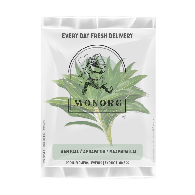 Aam Pata / Amrapatra / Maamara Ilai Leaves for Pooja