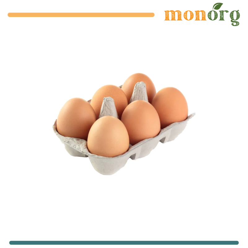 Eggs / Œufs / Oeuf
