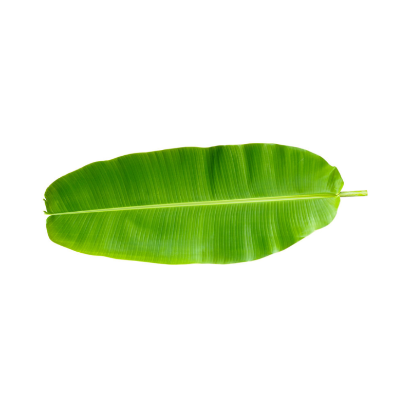Banana Leaf