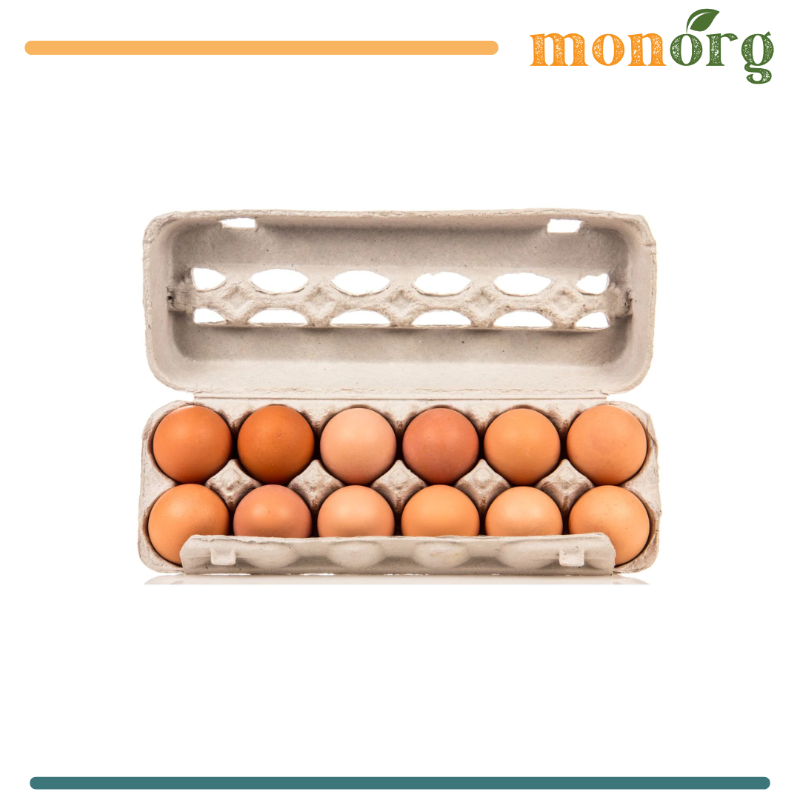 Eggs / Œuf