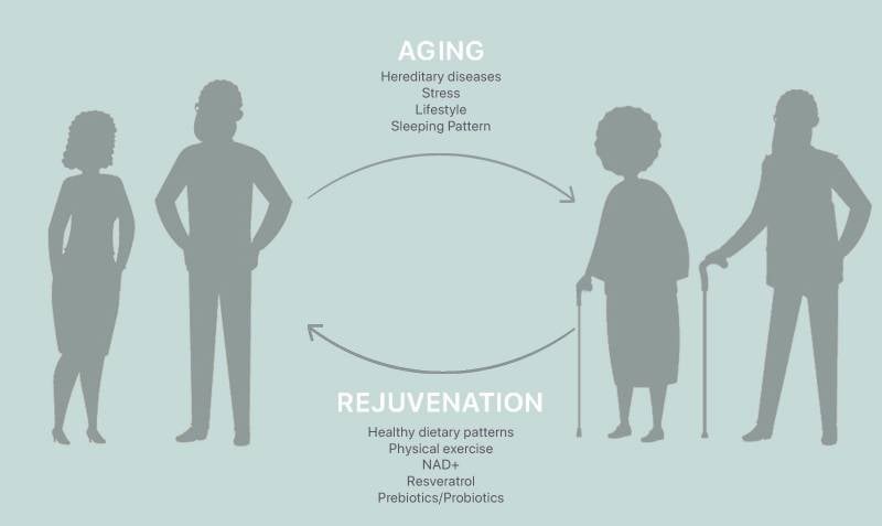 Relumins Cell Regenerator - Protects Our Cells and DNA From Age Related Damage