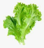 Lettuce