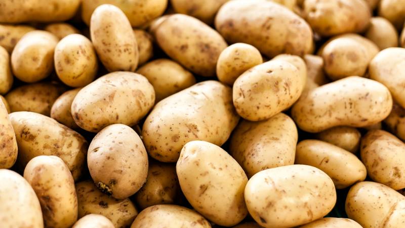 White Potatos - individual