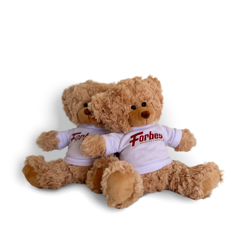 Plush Teddy Bear