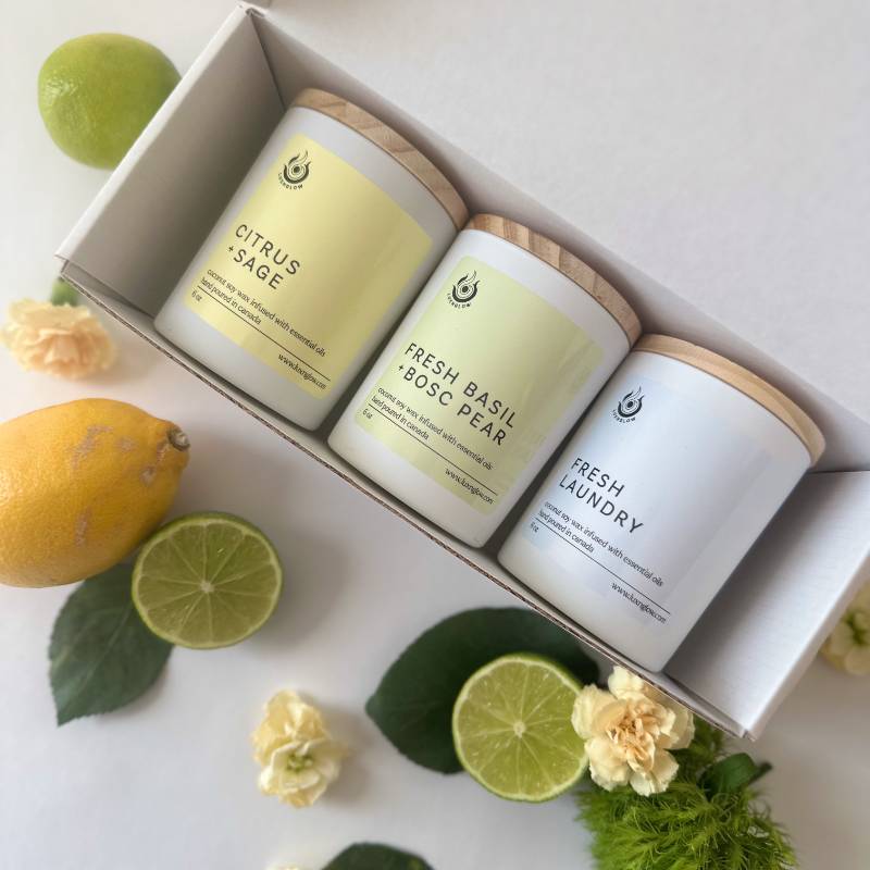 Premium Candle Trios