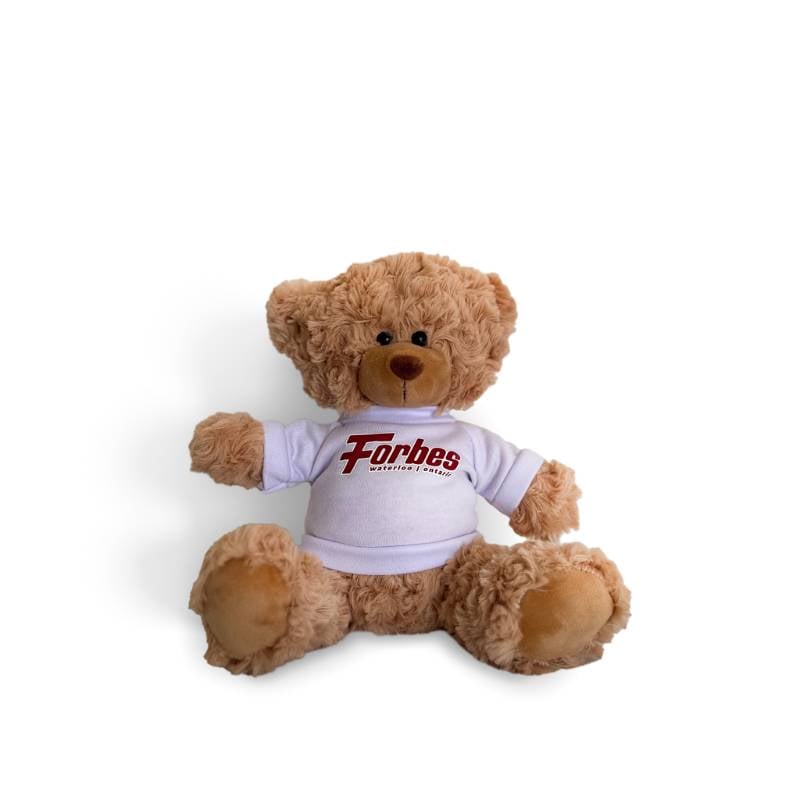 Plush Teddy Bear
