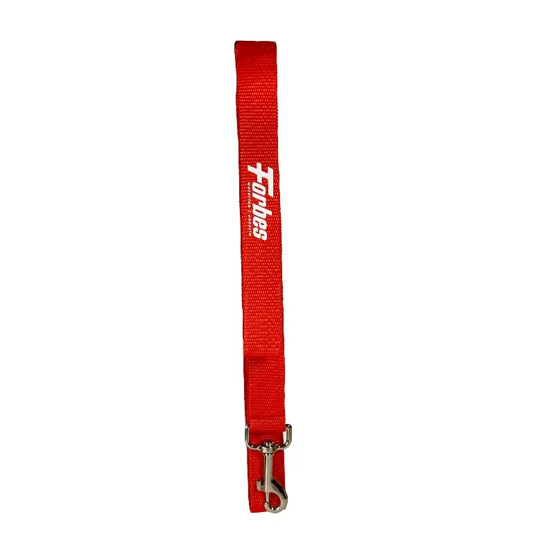 47” LED Light Up Dog Leash