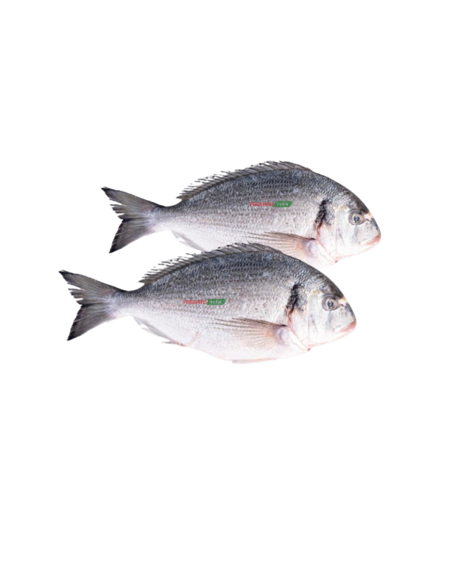Sea Bream Non Cleaned (6kg)