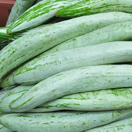 Snakegourd-6.99/kg