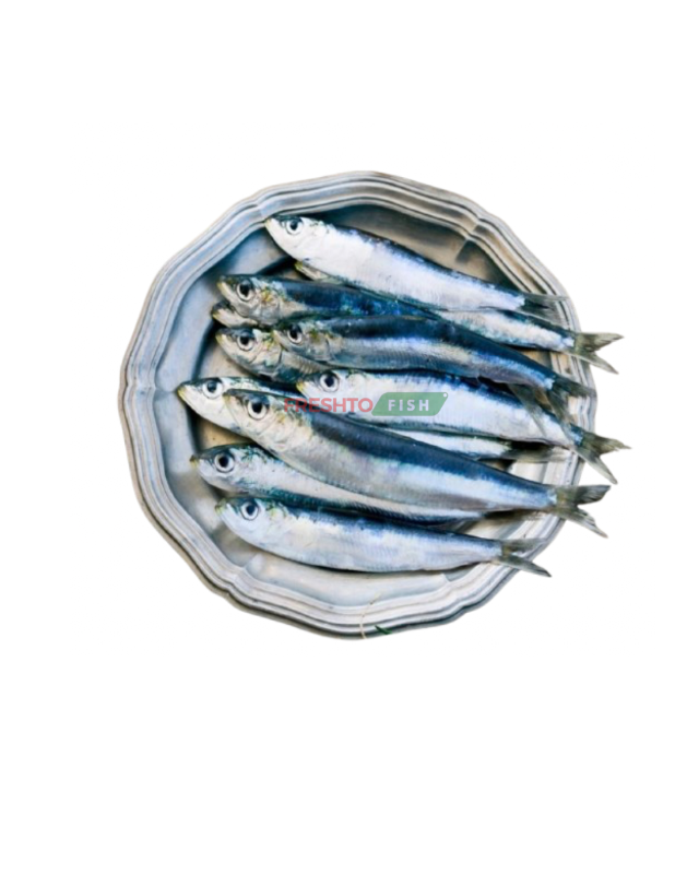 Indian Sardine fish Cleaned