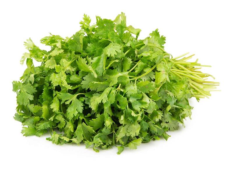 Coriander leaf-89p/bunch