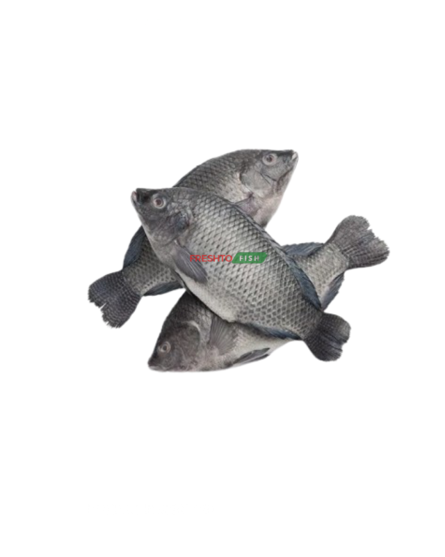 Tilapia whole 1kg