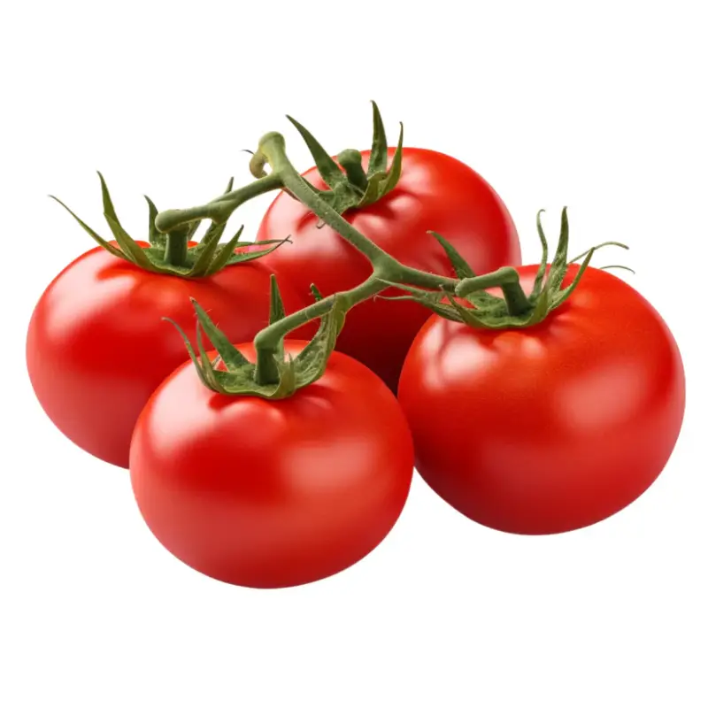 Tomato vine-2.89/kg