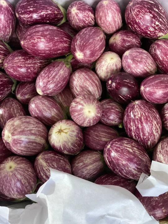Ravaya stripe-5.99/kg