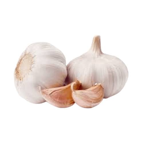 Garlic 4pk-89p/pack