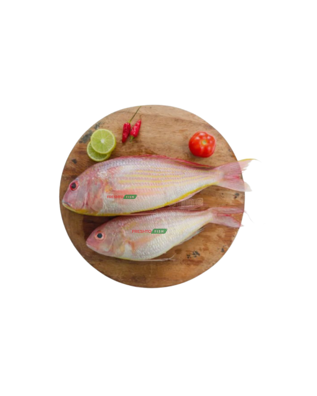 Threadfin bream(kilimeen) Whole | Freshto