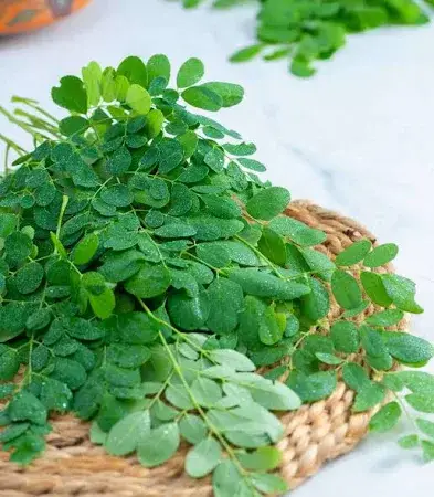 Drumstick leaves-3.69/piece