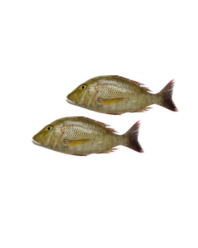 Emperor(Vilameen) Cleaned (1kg)