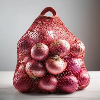 Salad Onion bag-3.99/bag