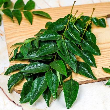 Curry leaf-1.39/piece