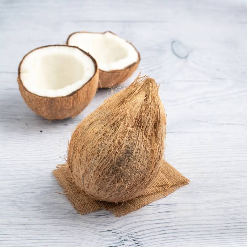 Coconut-89p each