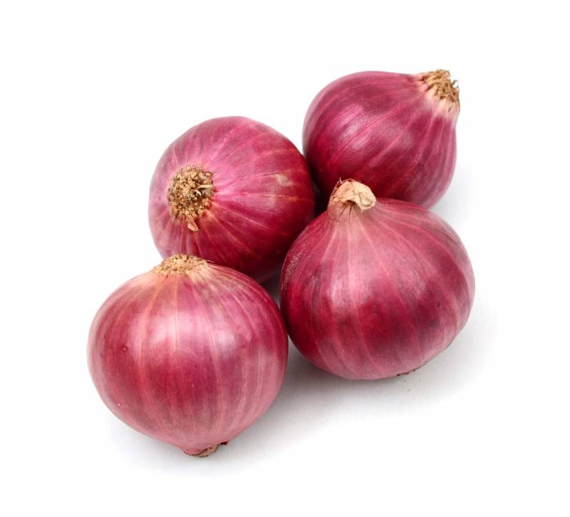 Salad Onion-1.99/kg