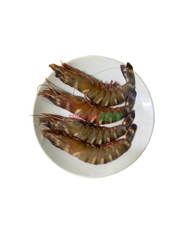 Wild Tiger Prawns Large