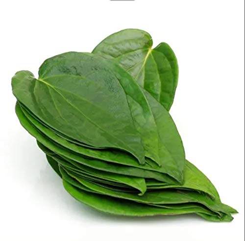 Pan leaves-15p/piece