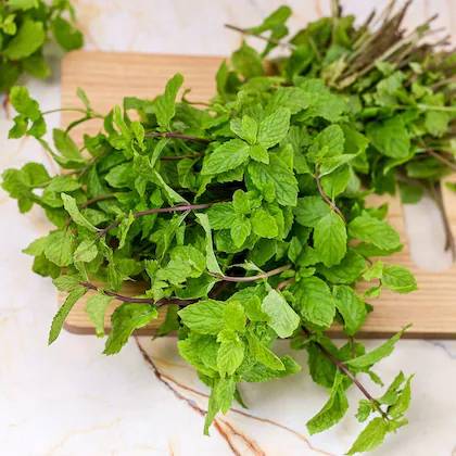 Mint leaf-99p/bunch