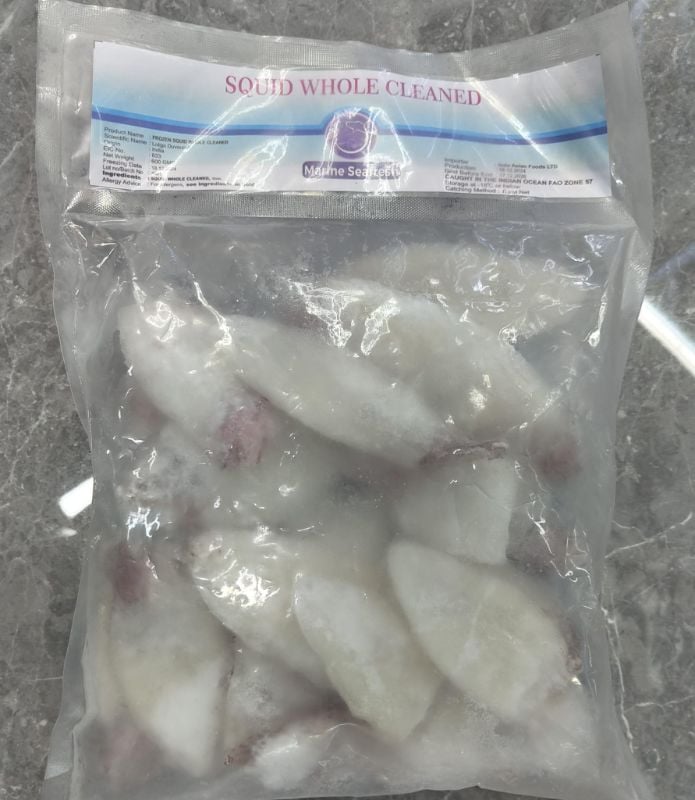Marine Seafresh Squid Whole Cleaned
