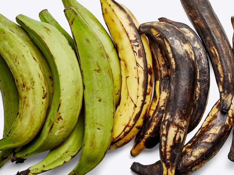 Plantain (3)