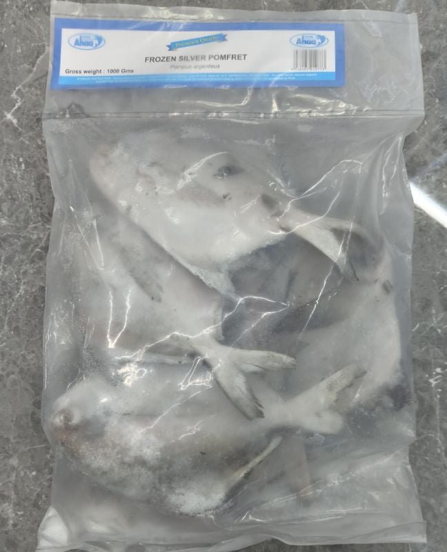 Ahaa Frozen Silver Pomerfet (Medium)