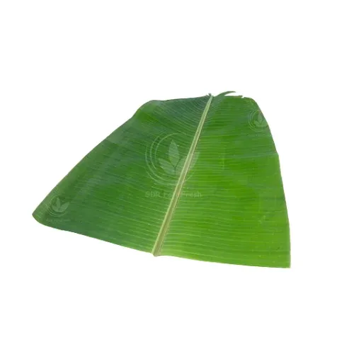 வாழை இலை – Banana Leaf 1pc