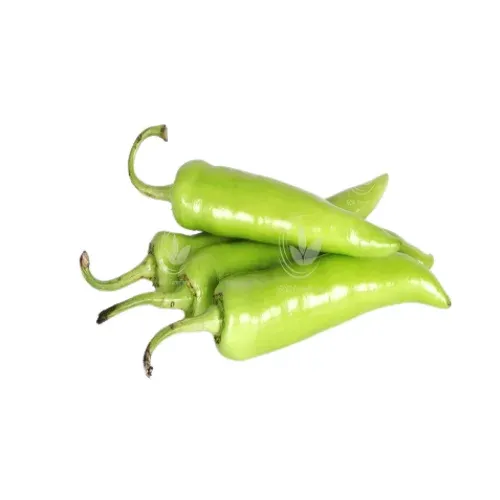 பஜ்ஜி மிளகாய் – Bajji Chilli (Long Green Chilli) 250gm