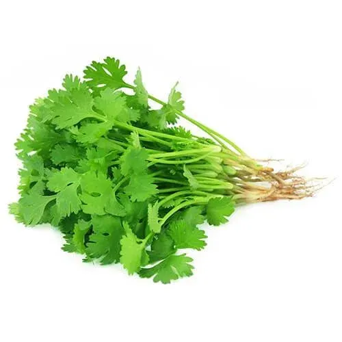 கொத்தமல்லி – Coriander Leaves 1bun
