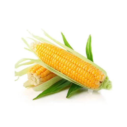 ஸ்வீட்கான் – Sweet Corn 1pc