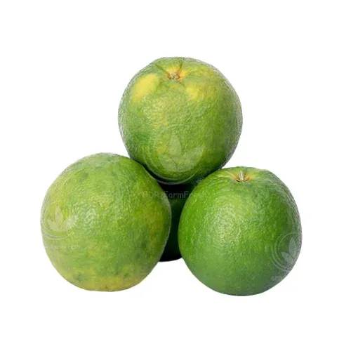 சாத்துக்குடி / மொசாம்பி – Sweet Lime (Mosambi)  - 1kg