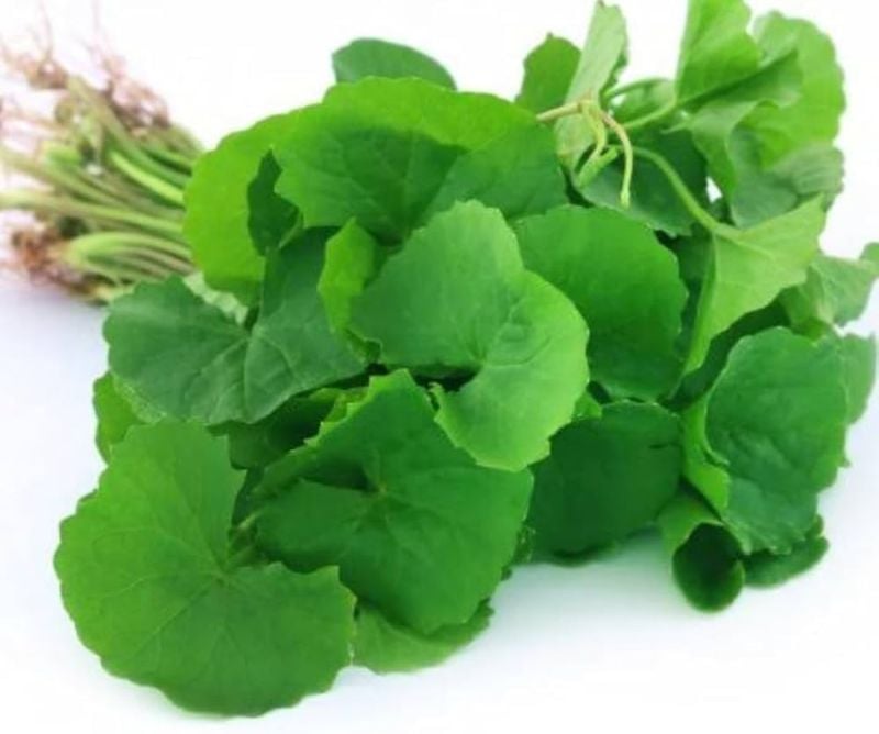 வல்லாரைக்கீரை – Indian Pennywort 1bun