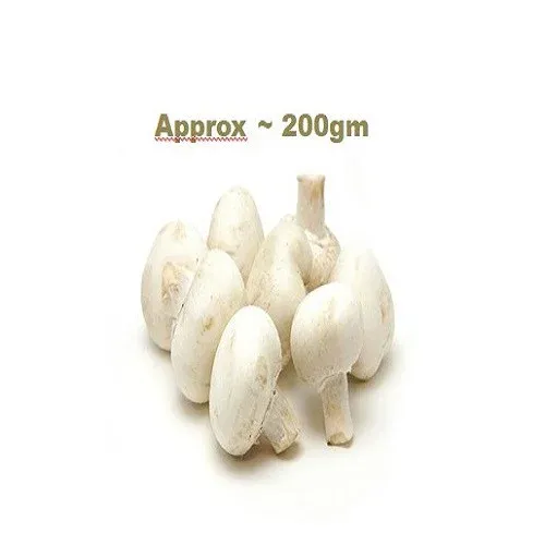மஷ்ரூம் – Mushroom 1pc