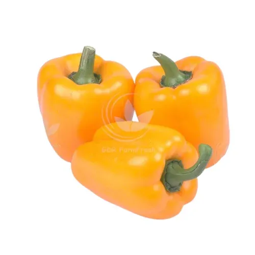 மஞ்சள் குடைமிளகாய் – Yellow Bell Pepper  250gm